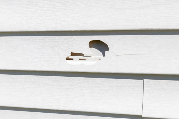 Best Property Management Cleanouts  in St Peters, MO